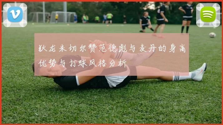狄龙米切尔赞范德彪与麦丹的身高优势与打球风格分析