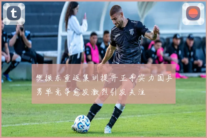 樊振东重返集训提升正手实力国乒男单竞争愈发激烈引发关注