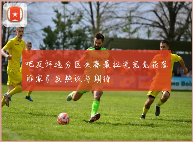 吧友评选分区决赛最拉奖究竟花落谁家引发热议与期待